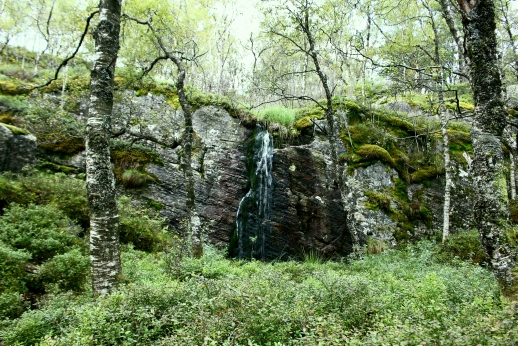 Foto MagicFall